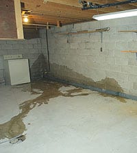 Water leaks into the basement through the walls and onto the floor. This can happen in any basement.