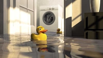 Water in the basement is a problem as it has a rubber ducky floating in it.