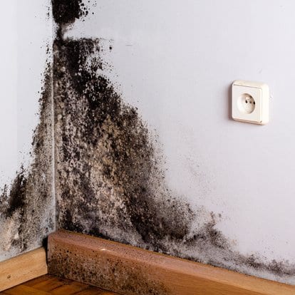 Mold appears in the corner of a room on the walls of this home.