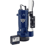 BDB Waterproofing Product - Crawl Space Pump 