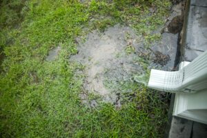 A downspout during a rain storm letting water fall onto the grass. The grass is getting a lot of water.